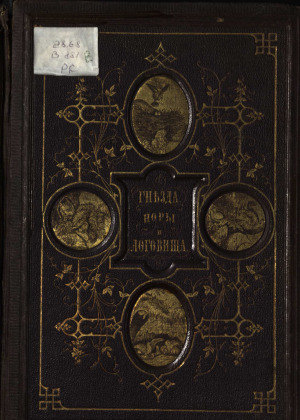 Гнезда, норы и логовища. Постройки, возводимые без помощи рук