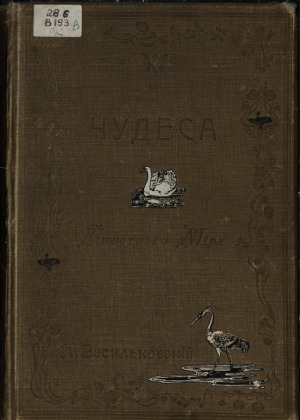 Чудеса животного мира