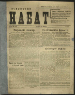 Псковский набат. № 154, 1919. URL - https://pskovbook.ru/book/13844.