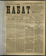 Псковский набат. № 169, 1919. URL - https://pskovbook.ru/book/13858.