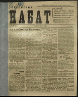 Псковский набат. № 193, 1919. URL - https://pskovbook.ru/book/13877.