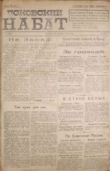 Псковский набат. № 197, 1920. URL - https://pskovbook.ru/book/14269.