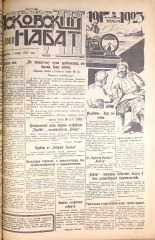 Псковский набат. № 252, 1925. URL - https://pskovbook.ru/book/16956.