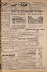 Псковский набат. № 286, 1926. URL - https://pskovbook.ru/book/17466.