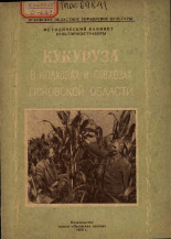 Опыт выращивания кукурузы на полях Псковской области, 1959.