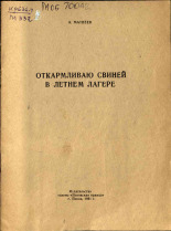 Матвеев А.  Откармливаю свиней в летнем лагере 