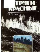 Петров Глеб Викторович. Струги-Красные, 1988.