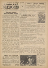 Гдовский колхозник. № 33, 1960.