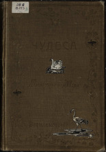 Васильковский Петр Евгеньевич. Чудеса животного мира, 1911. URL - https://pskovbook.ru/book/42756.